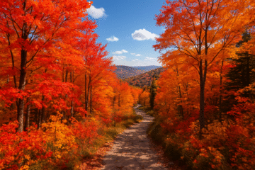 Breathtaking Hiking Trails in the Northeast